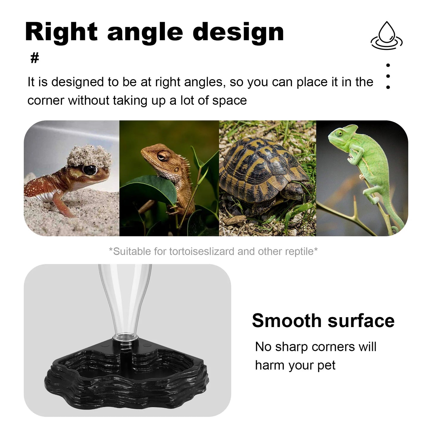 Reptile Water Feeder