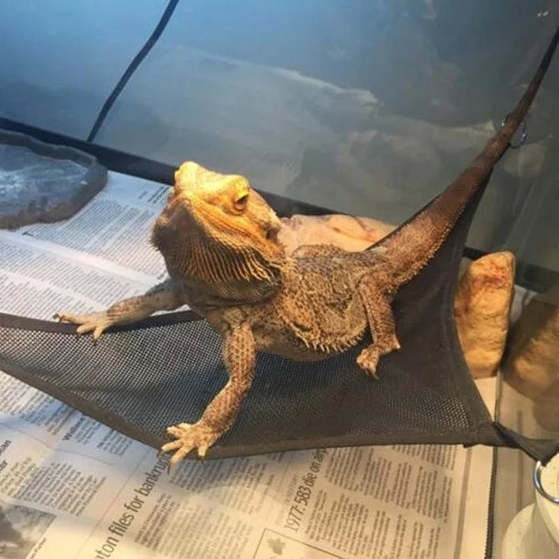Reptile Hammock Lounger