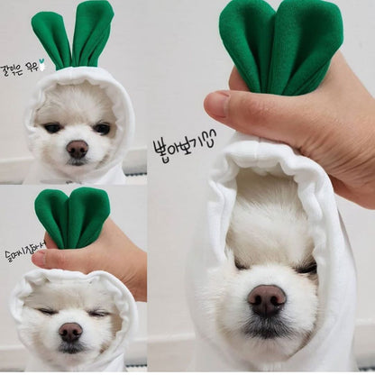 Dog Clothes