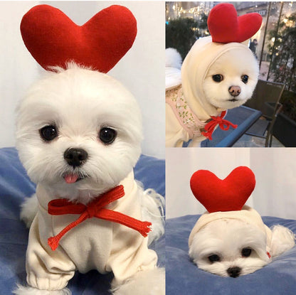 Dog Clothes