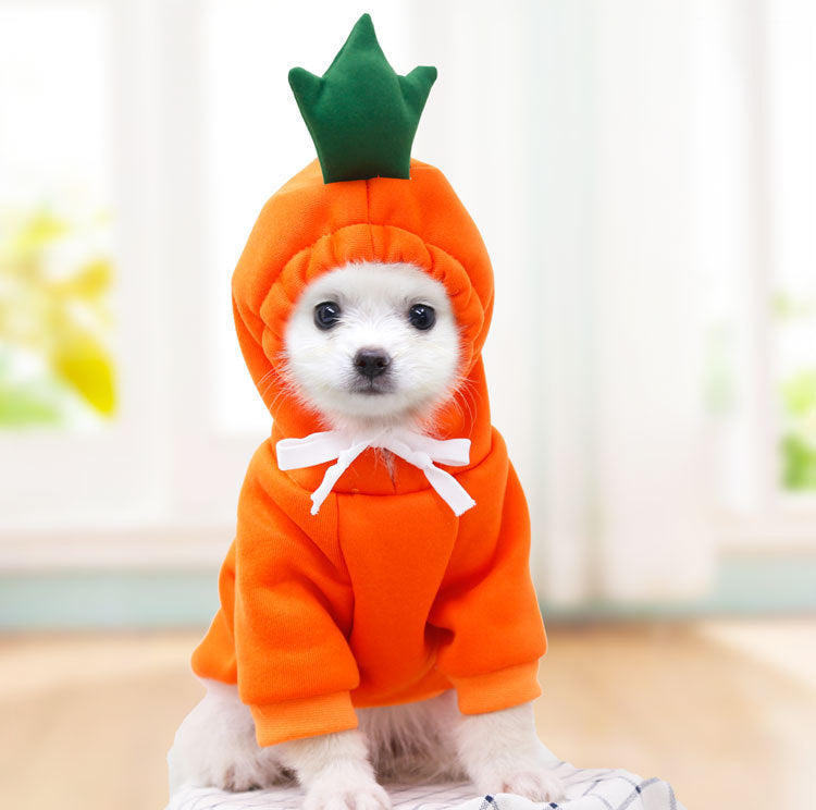 Dog Clothes