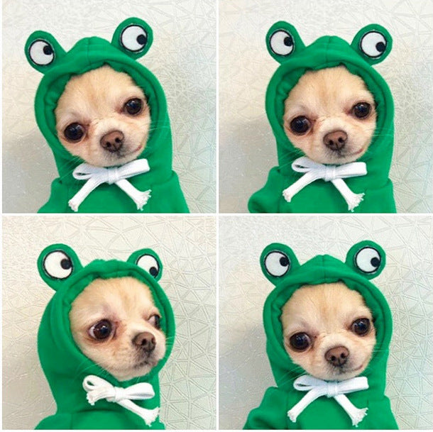 Dog Clothes