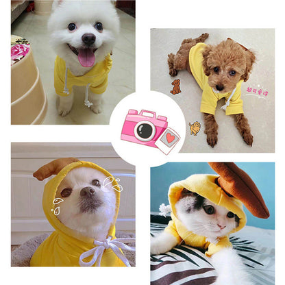 Dog Clothes