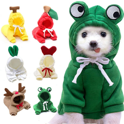 Dog Clothes