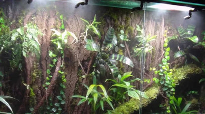 Reptile Misting System