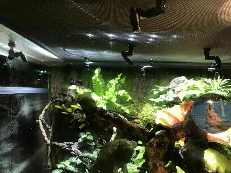 Reptile Misting System