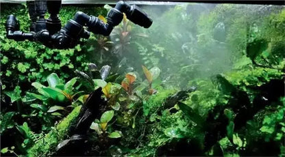 Reptile Misting System