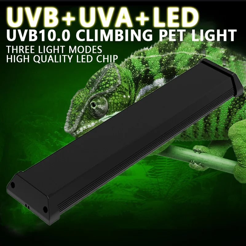Reptile Full Spectrum Lamp