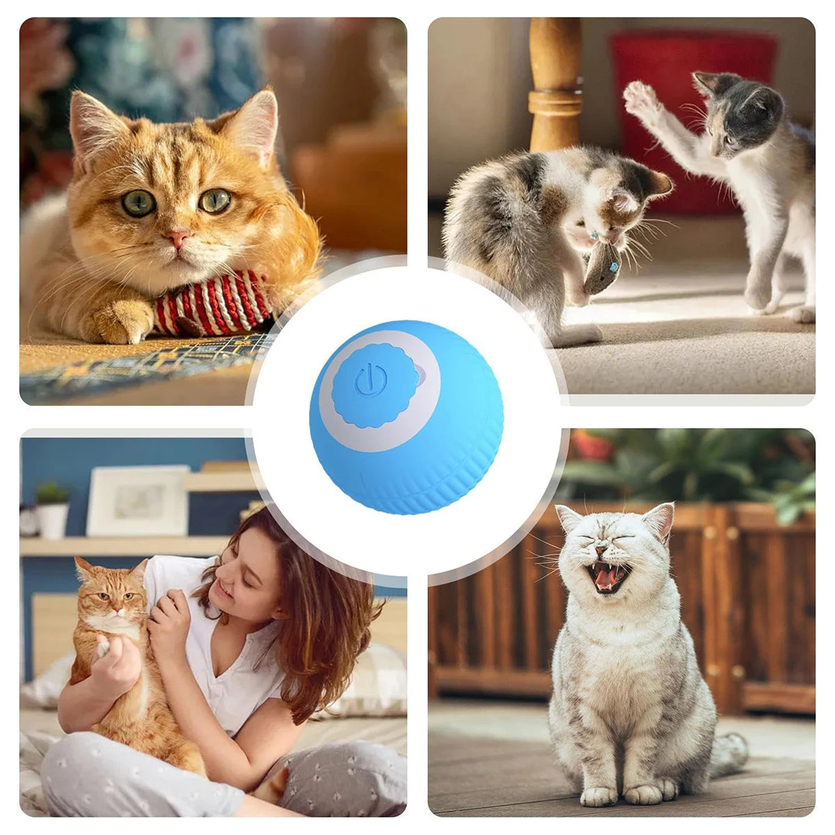 Cat Toy Ball
