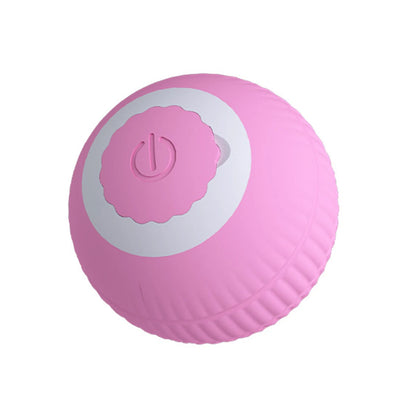 Cat Toy Ball