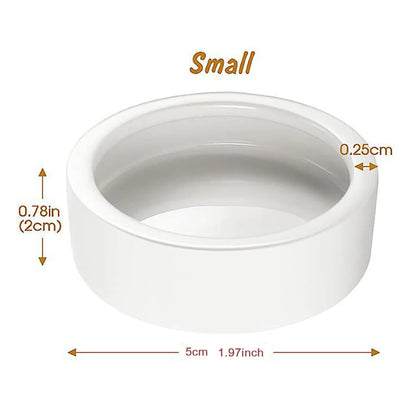 Reptile Food Bowl