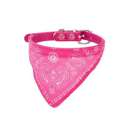 Cat Collar
