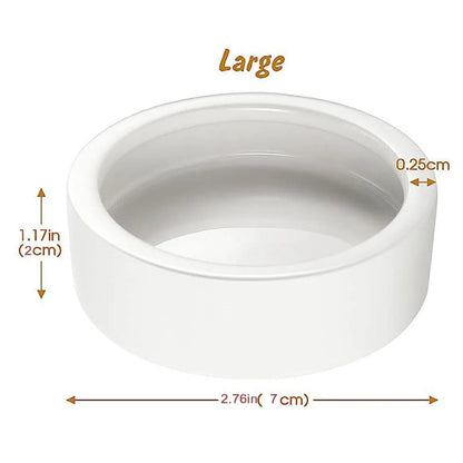 Reptile Food Bowl