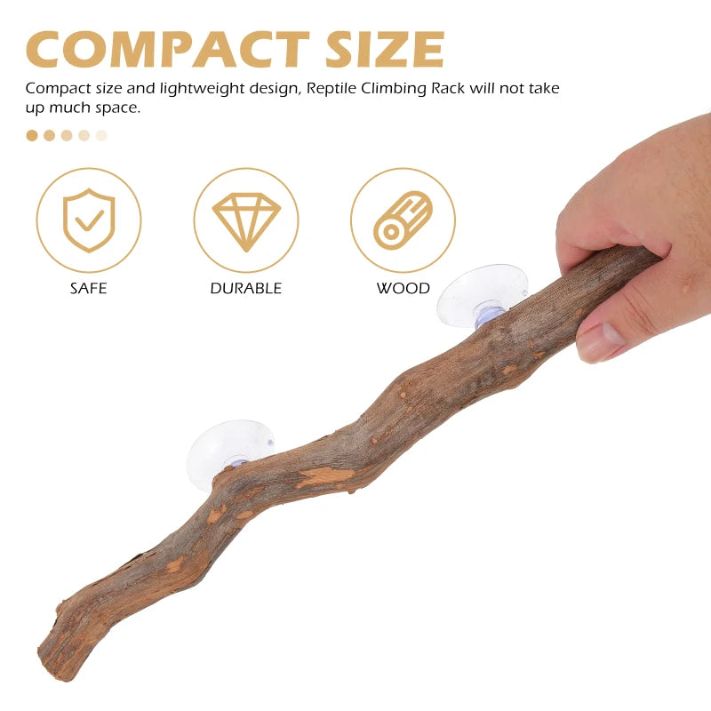 Bearded Dragon Accessory