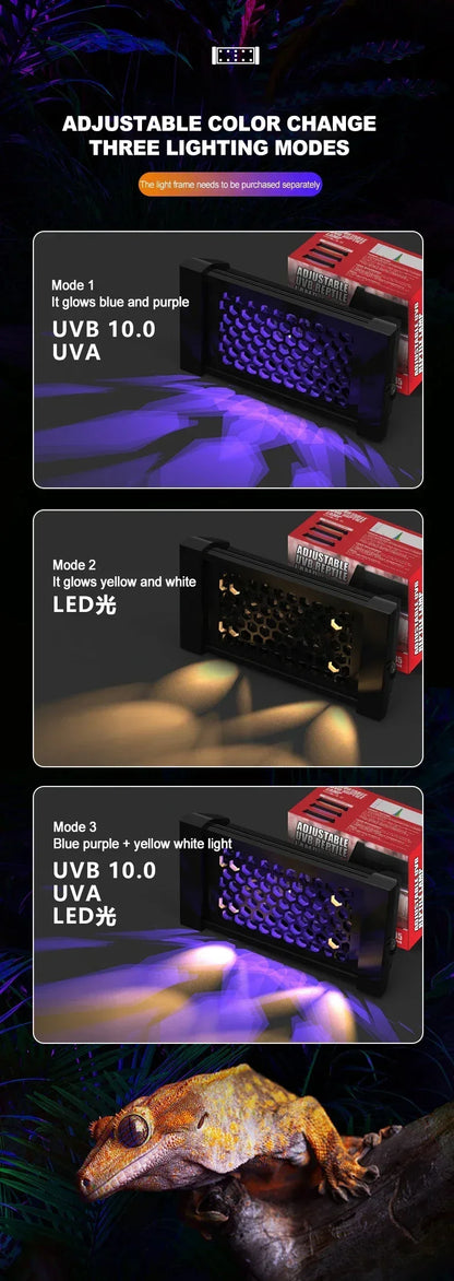 Reptile Full Spectrum Lamp