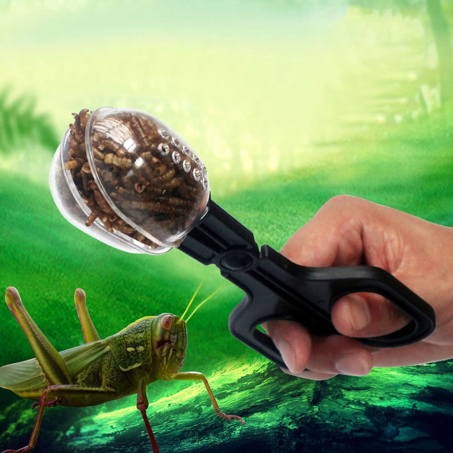 Reptile Terrarium Lizards Plastic Tongs Tweezerse