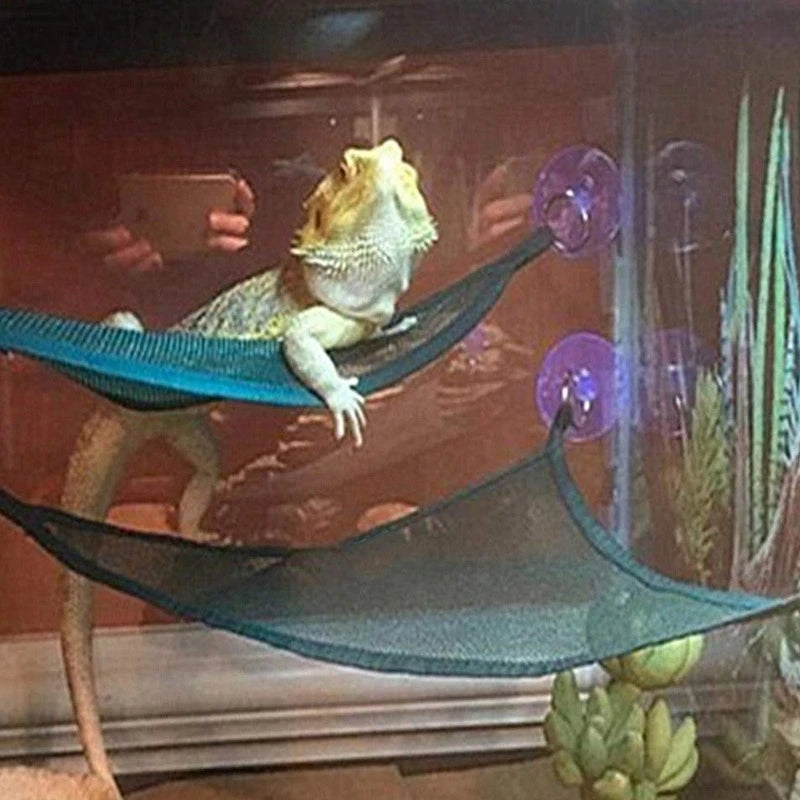 Reptile Hammock Lounger