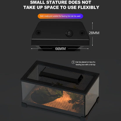 Reptile Full Spectrum Lamp