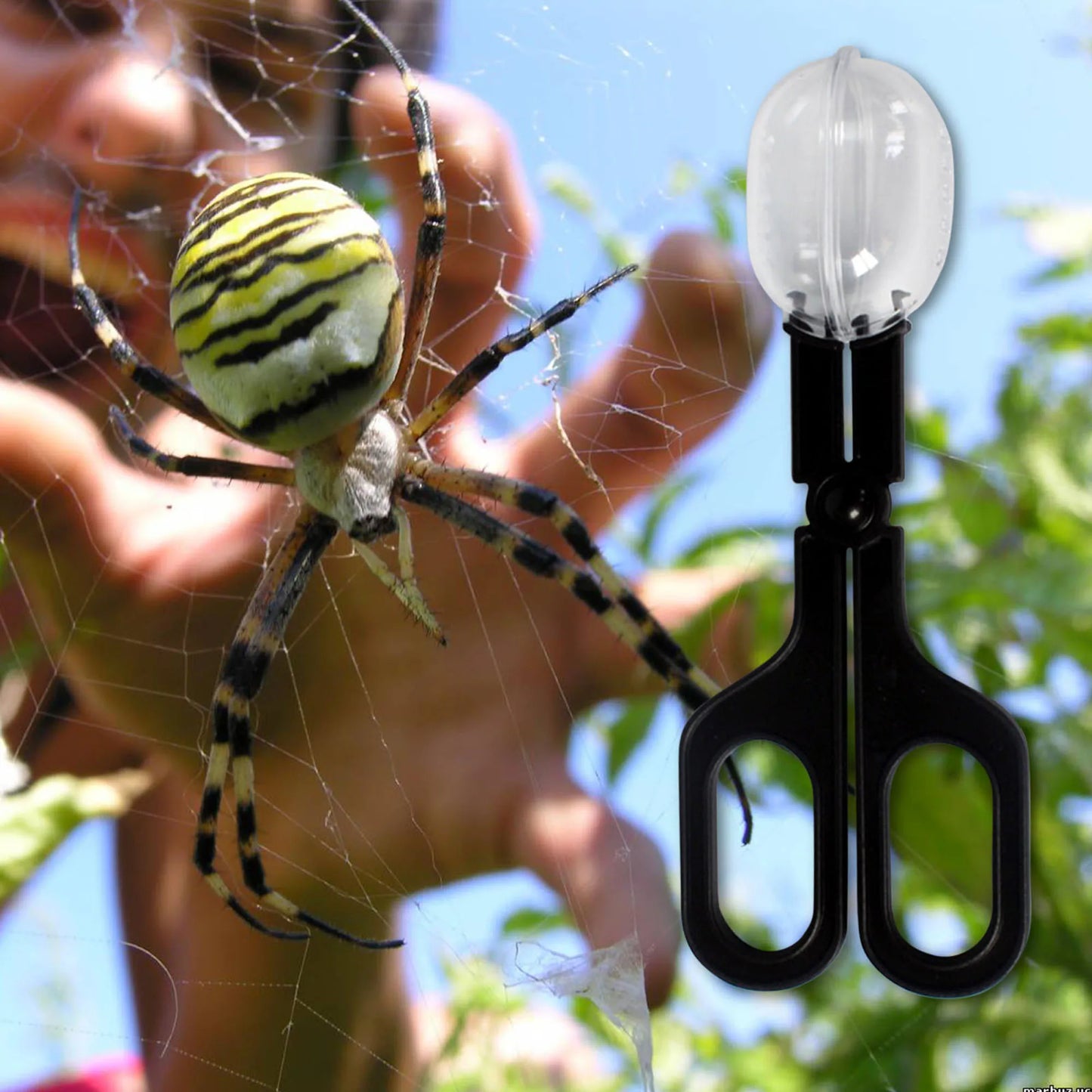 Reptile Terrarium Lizards Plastic Tongs Tweezerse