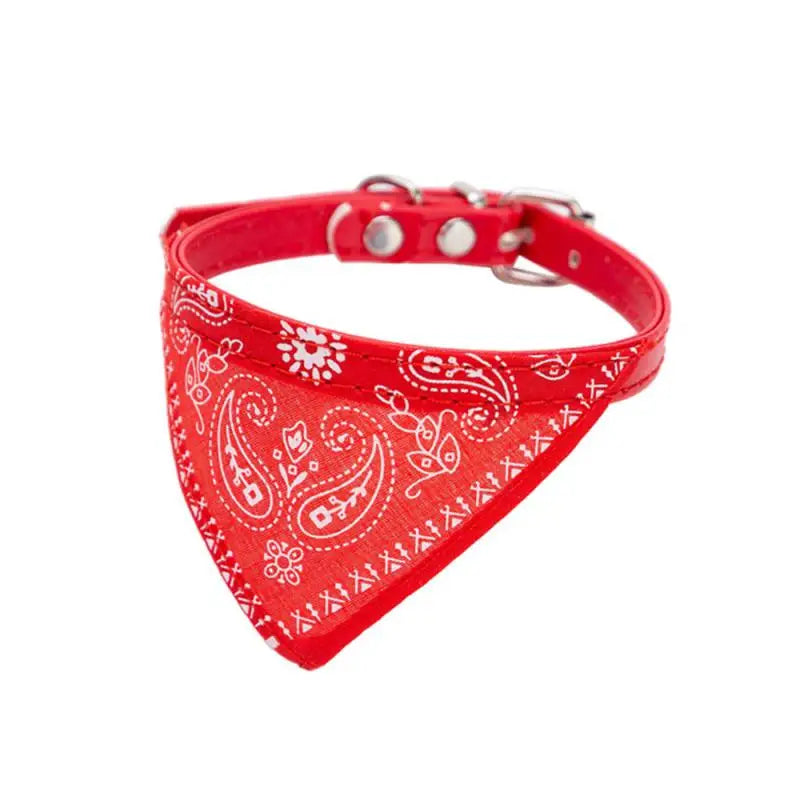 Cat Collar