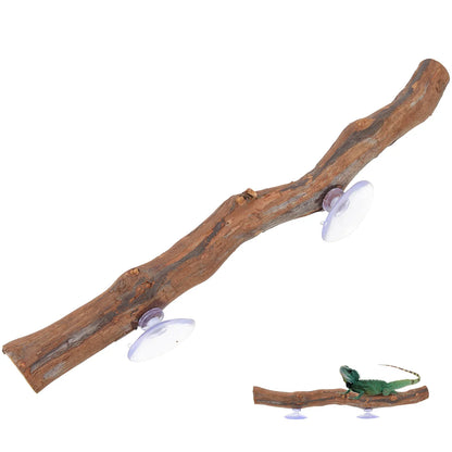 Bearded Dragon Accessory