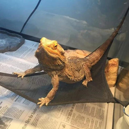 Reptile Hammock Lounger