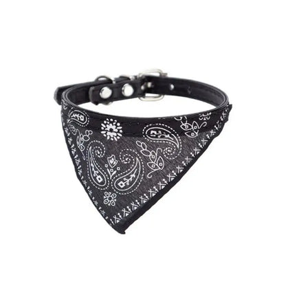 Cat Collar