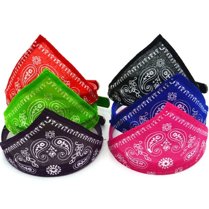 Cat Collar
