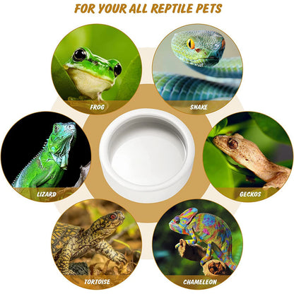 Reptile Food Bowl