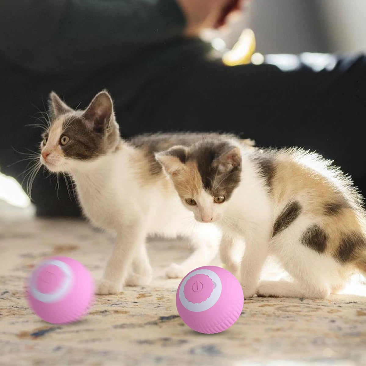 Cat Toy Ball