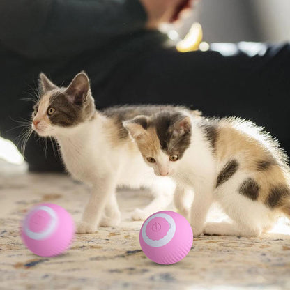 Cat Toy Ball