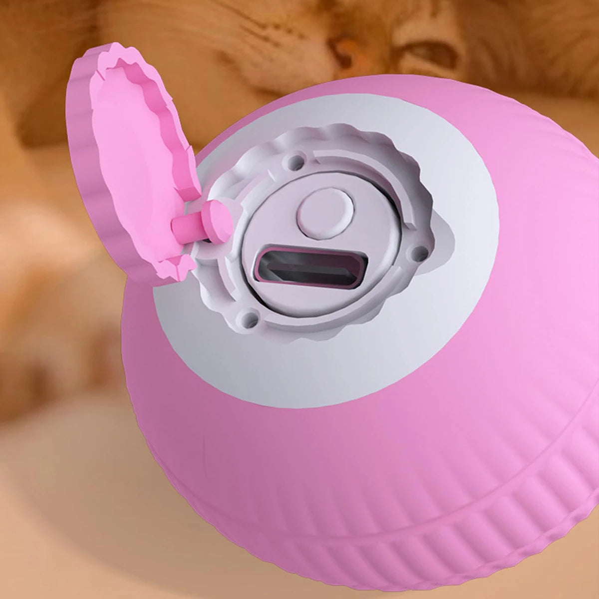 Cat Toy Ball