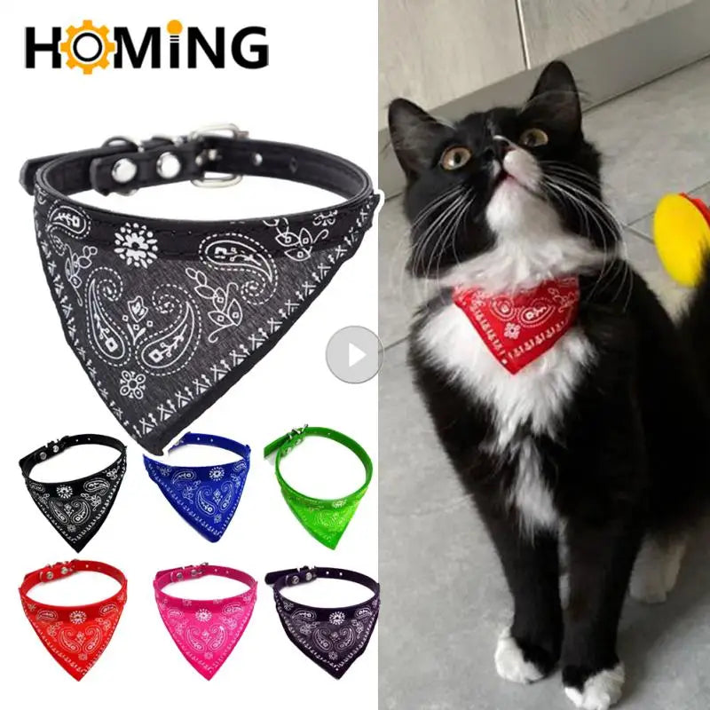 Cat Collar