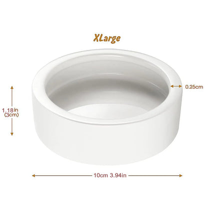 Reptile Food Bowl