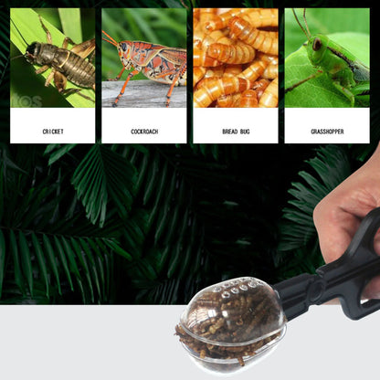Reptile Terrarium Lizards Plastic Tongs Tweezerse