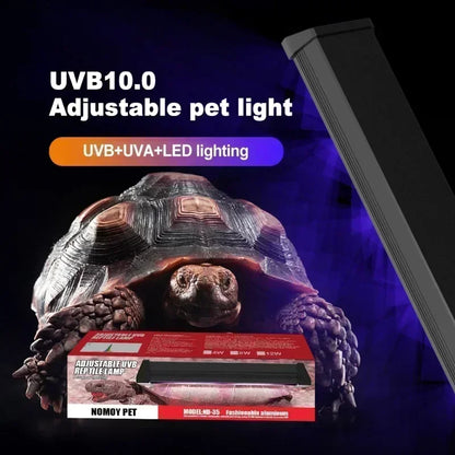 Reptile Full Spectrum Lamp