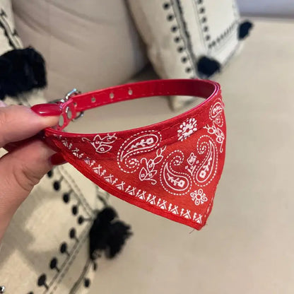 Cat Collar