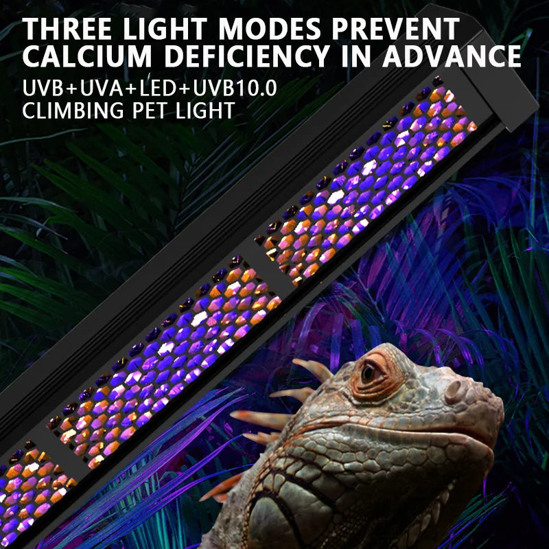 Reptile Full Spectrum Lamp