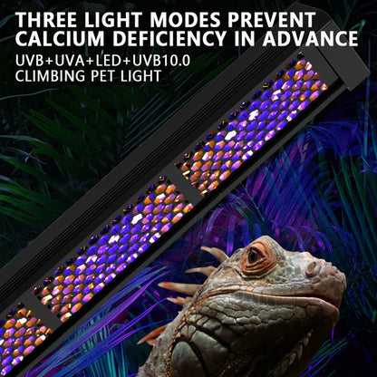 Reptile Full Spectrum Lamp