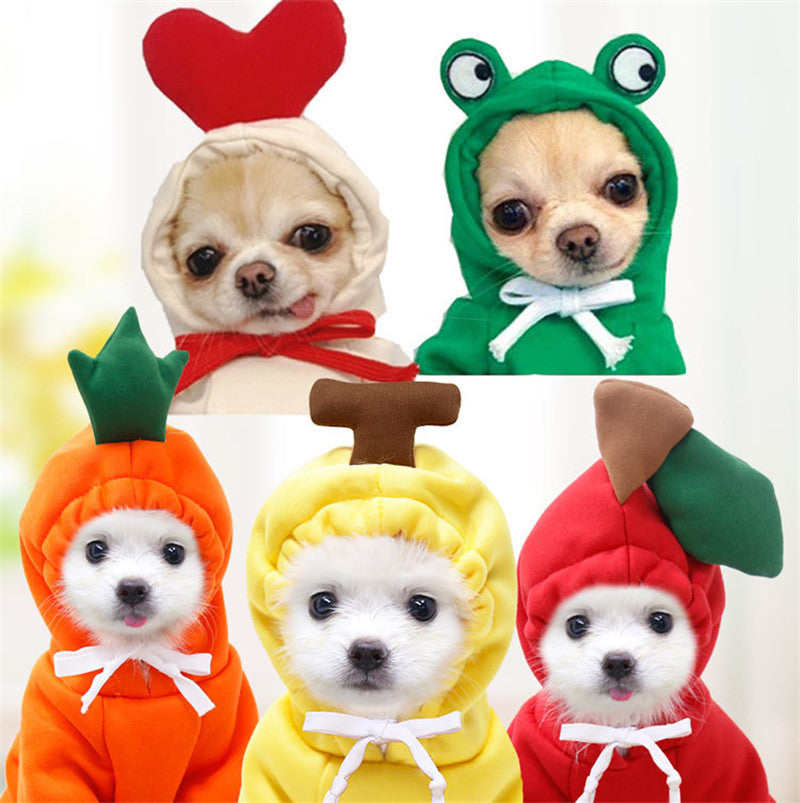 Dog Clothes